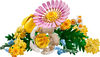 LEGO Botanicals Petite Sunny Bouquet Flower Set - Building Toy for Kids 9+ - Room Decor - 10347