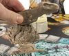 Jurassic World Dominion, Jeu de société sensoriel Stomp N' Smash sur le thème des dinosaures, avec sable Kinetic Sand