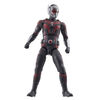 Hasbro Marvel Legends Series Ant-Man, Ant-Man and the Wasp: Quantumania Marvel Legends Action Figures, 6 Inch