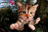 Pounce - Fuzzbucket 150 Piece Super 3D Puzzle