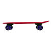 Kryptonics Classic 22.5"  Complete Skateboard RGB