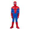 Marvel's Spider-Man Deluxe Youth Costume Size Small - Muscle Jumpsuit With Printed Design And Polyfill Stuffing Plus Full Fabric Headpiece And Gloves