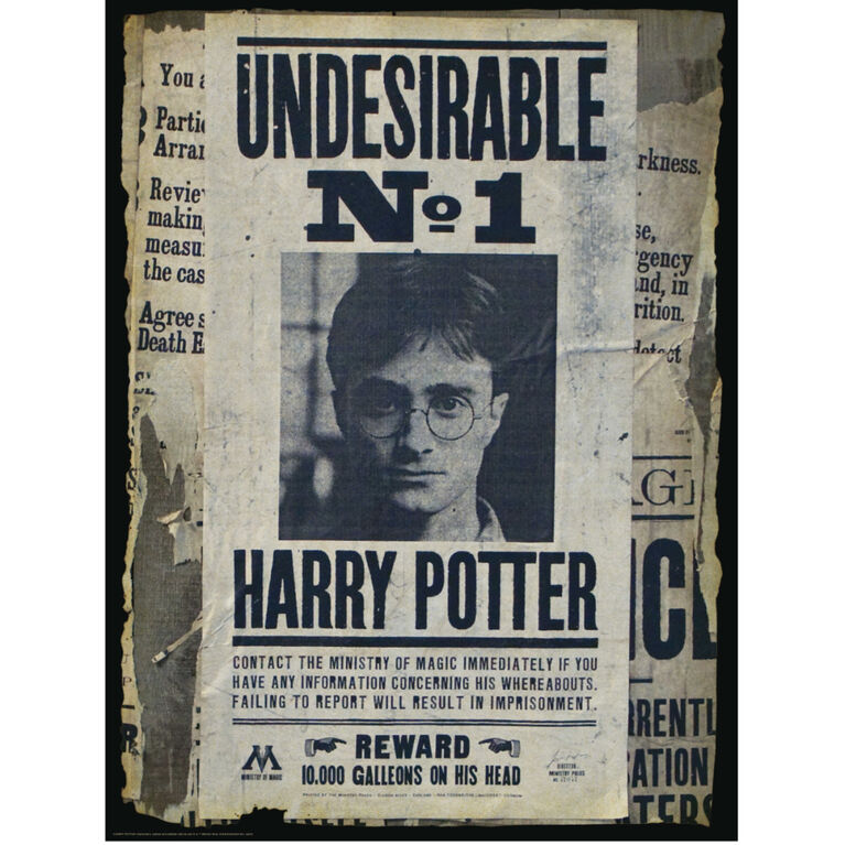 Prime3D Scratch Off Puzzle Reveal - Harry Potter Wanted - Harry Potter 500 Piece Puzzle