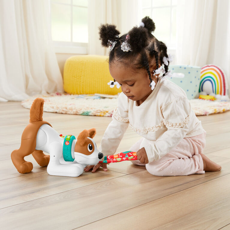 ​Fisher-Price 123 Crawl With Me Puppy - French Edition