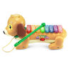 VTech Zoo Jamz Doggy Xylophone - English Edition