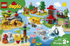 LEGO DUPLO Town Les animaux du monde 10907 (121 pièces)