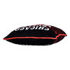 NBA Chicago Bulls Pillow Cushion, 18" x 18"