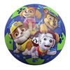 Jr Foam Paw Patrol Soccerball