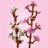 LEGO Cherry Blossoms Celebration Gift, White and Pink Cherry Blossom 40725