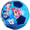 PAW Patrol Character Soccer Ball