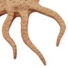 Animal Planet 12 inch Foam Therizinosaurus - R Exclusive