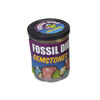 Fossil Dig in Tub Gemstones - English Edition