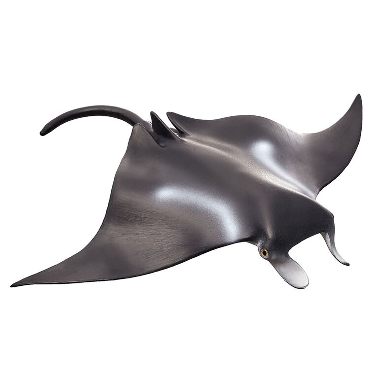 ALEX - Manta Ray - Large