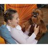 Ultimate Co-pilot Chewie