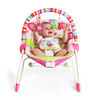 Bright Starts Raspberry Garden Rocker