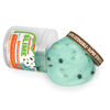 Nickelodeon Slime Specialty Jars  - Mint Chocolate Chip