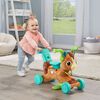 VTech Grow Along Bounce and Go Pony - English Edition