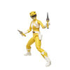Power Rangers Lightning Collection Mighty Morphin Yellow Ranger Action Figure