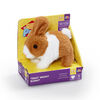 Pitter Patter Pets - Teeny Weeny Bunny Brown and White - Notre exclusivité - Édition anglaise