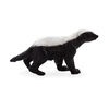 ALEX - Honey Badger Male - Small