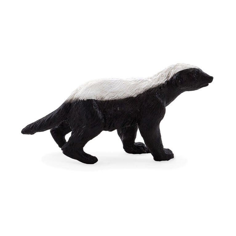 ALEX - Honey Badger Male - Small