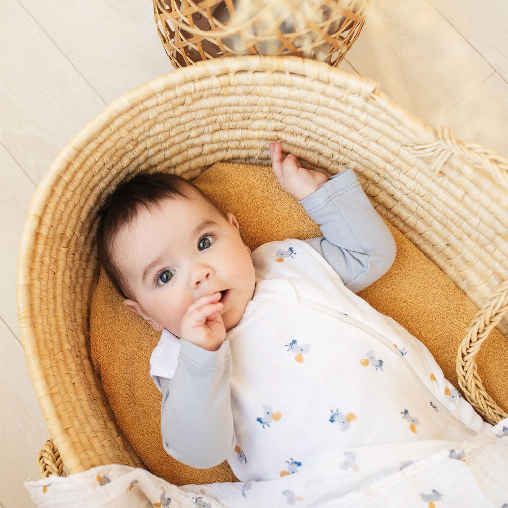 Sleepbag-Perlimpinpin-Pelicans/ 0,7 Togs/ 0-6 Months