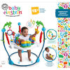 Baby Einstein Neighborhood Symphony Activity Jumper.