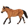 ALEX - Quarter Horse Buckskin - Extra Large