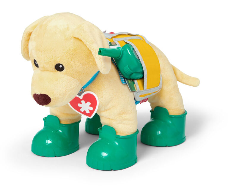 Let's Explore Ranger Rescue Dog