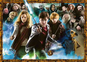 Ravensburger Magical Student Harry Potter 1000pc Puzzle