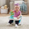 VTech La grande roue des Baby loulous - Édition française