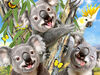 Howard Robinson Puzzle With Plush