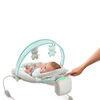 Ingenuity SmartBounce Automatic Bouncer - Hamilton