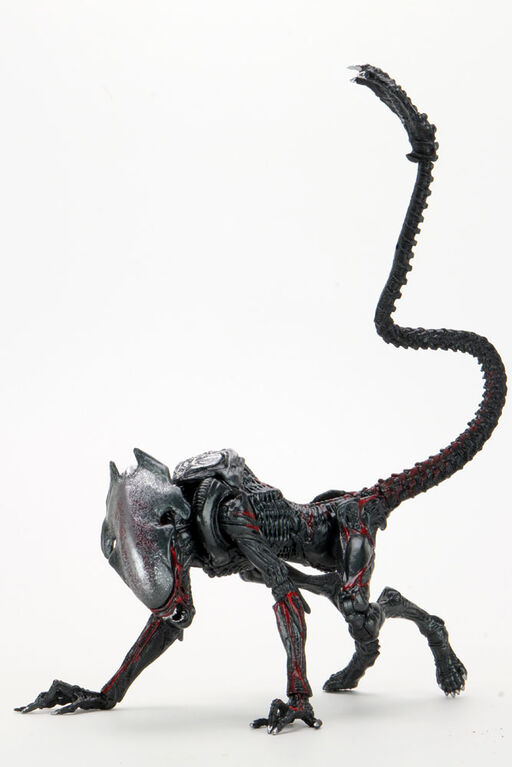 Aliens: Kenner Night Cougar Alien - English Edition