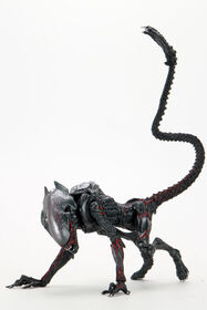 Aliens: Kenner Night Cougar Alien - Édition anglaise