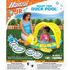 Banzai Shady Time Duck Pool