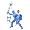 Power Rangers Lightning Collection Dino Thunder Blue Ranger Action Figure