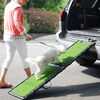 Gen7Pets Natural-Step Ramp 72in - Poly-Grass