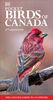 Pocket Birds of Canada 2nd Edition - English Edition