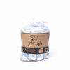 Jesse & Lulu 12-Pack Sky Theme Washcloth: Blue