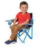 Paw Patrol Fold N Go Chair
