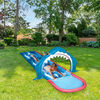 Danaplay Toboggan aquatique requin de 10 pieds