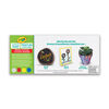 Peinture acrylique multisurfaces Crayola, couleurs primaires