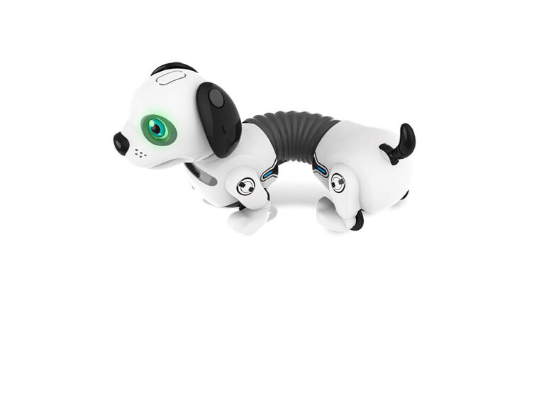 Junior Robo Dackel