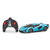 Xceler8 1:24 RC Lamborghini Sian Assortment - R Exclusive