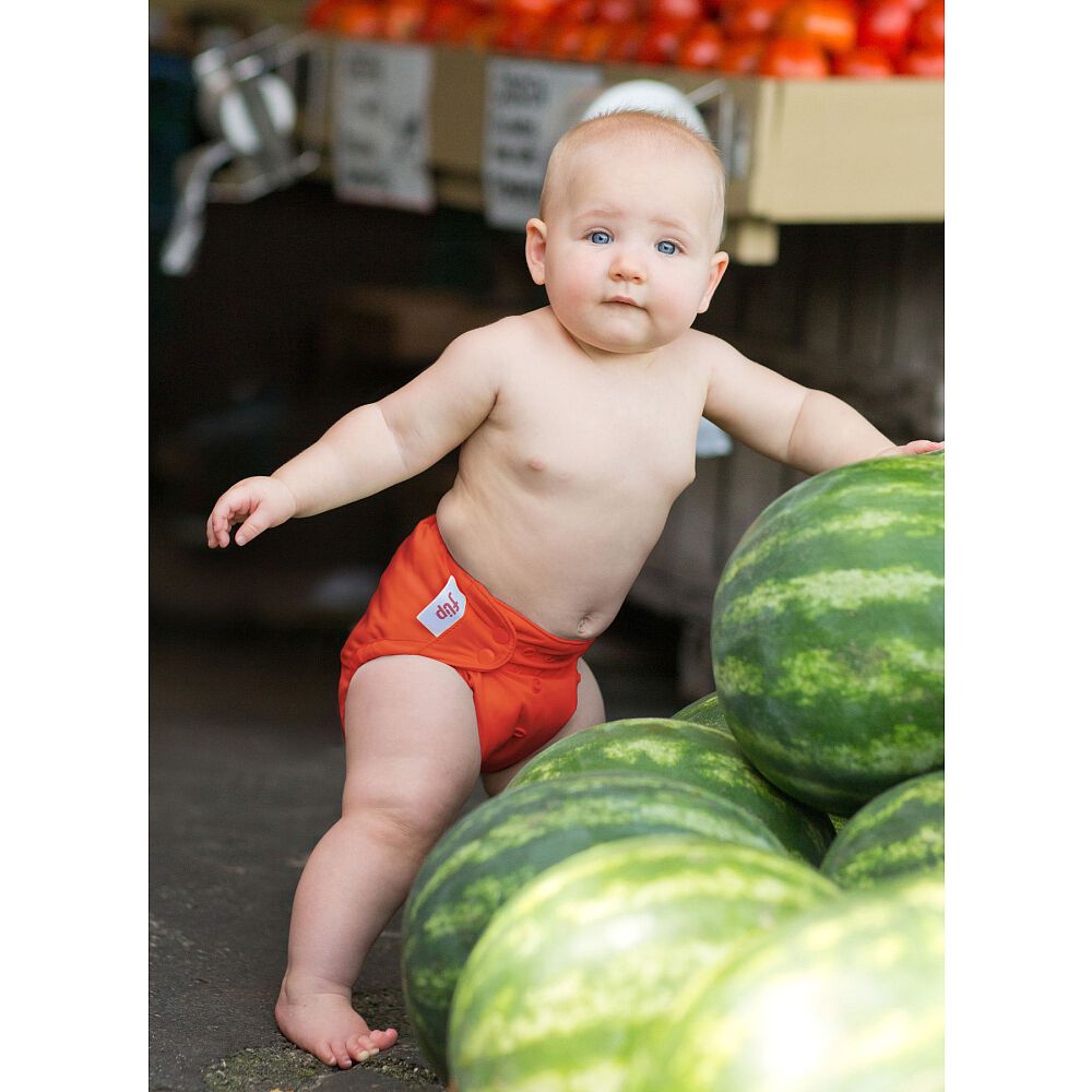 bumgenius newborn inserts