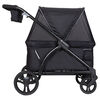 Expedition 2-in-1 Chario de poussette