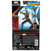 Hasbro Marvel Legends Series Marvel's Wasp, Ant-Man and the Wasp: Quantumania Marvel Legends Action Figures, 6 Inch