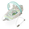 Ingenuity SmartBounce Automatic Bouncer - Hamilton