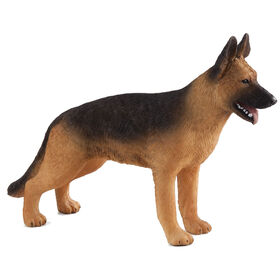 ALEX - German Shepherd - Medium